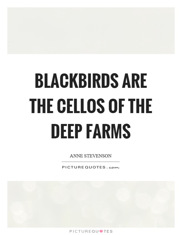Blackbirds are the cellos of the deep farms Picture Quote #1