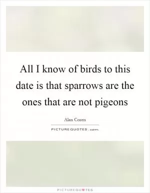 All I know of birds to this date is that sparrows are the ones that are not pigeons Picture Quote #1