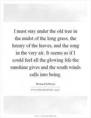 I must stay under the old tree in the midst of the long grass, the luxury of the leaves, and the song in the very air. It seems as if I could feel all the glowing life the sunshine gives and the south winds calls into being Picture Quote #1