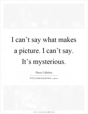 I can’t say what makes a picture. I can’t say. It’s mysterious Picture Quote #1