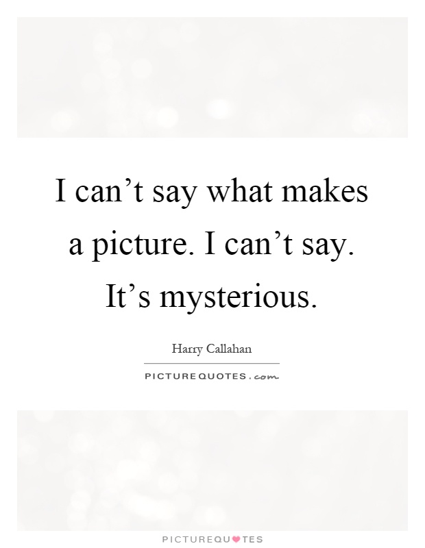 I can't say what makes a picture. I can't say. It's mysterious Picture Quote #1