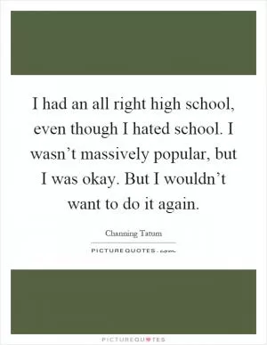 I had an all right high school, even though I hated school. I wasn’t massively popular, but I was okay. But I wouldn’t want to do it again Picture Quote #1