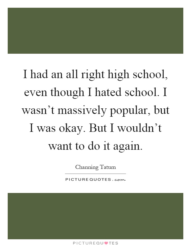 I had an all right high school, even though I hated school. I wasn't massively popular, but I was okay. But I wouldn't want to do it again Picture Quote #1