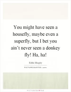 You might have seen a housefly, maybe even a superfly, but I bet you ain’t never seen a donkey fly! Ha, ha! Picture Quote #1