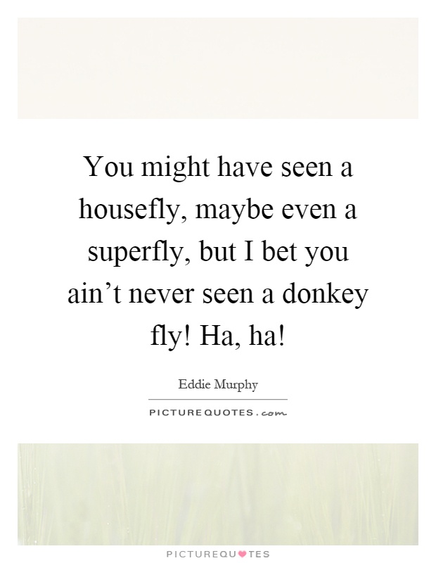 You might have seen a housefly, maybe even a superfly, but I bet you ain't never seen a donkey fly! Ha, ha! Picture Quote #1