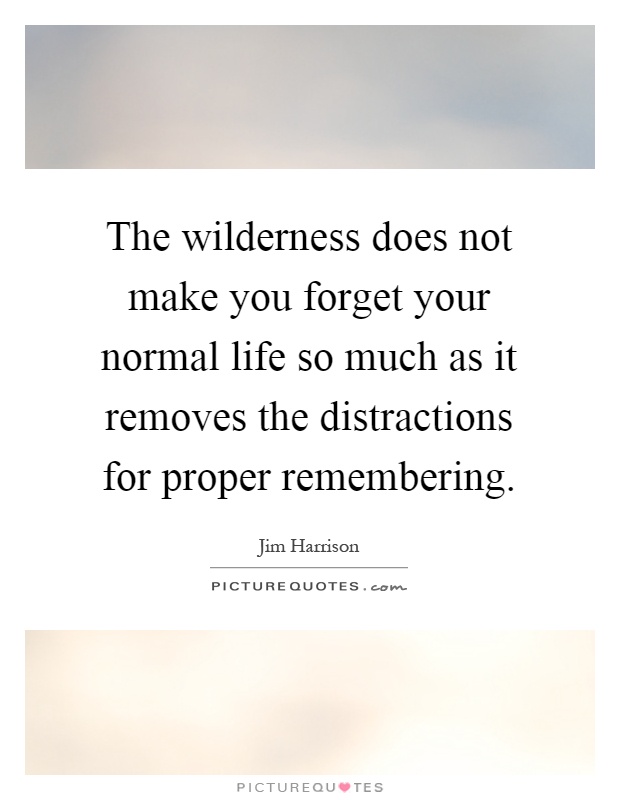 The wilderness does not make you forget your normal life so much as it removes the distractions for proper remembering Picture Quote #1