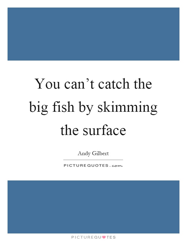 You can't catch the big fish by skimming the surface Picture Quote #1