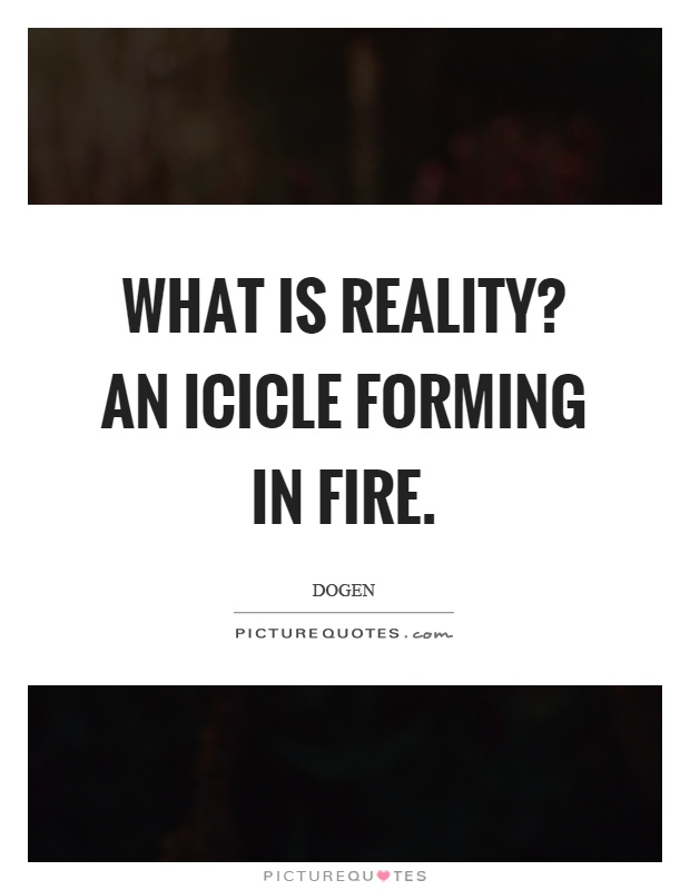 What is reality? An icicle forming in fire Picture Quote #1