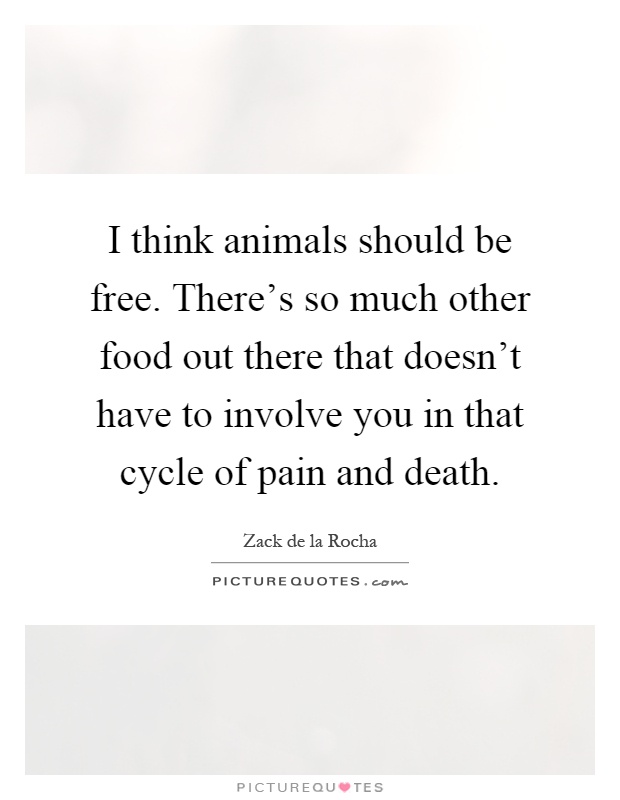 I think animals should be free. There's so much other food out there that doesn't have to involve you in that cycle of pain and death Picture Quote #1
