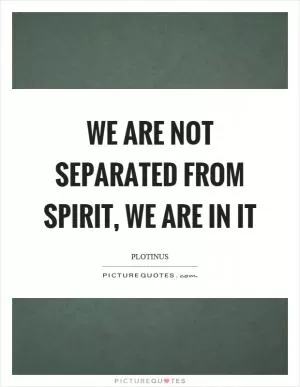 We are not separated from spirit, we are in it Picture Quote #1