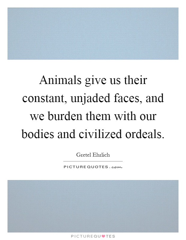 Animals give us their constant, unjaded faces, and we burden them with our bodies and civilized ordeals Picture Quote #1