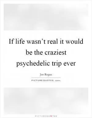 If life wasn’t real it would be the craziest psychedelic trip ever Picture Quote #1