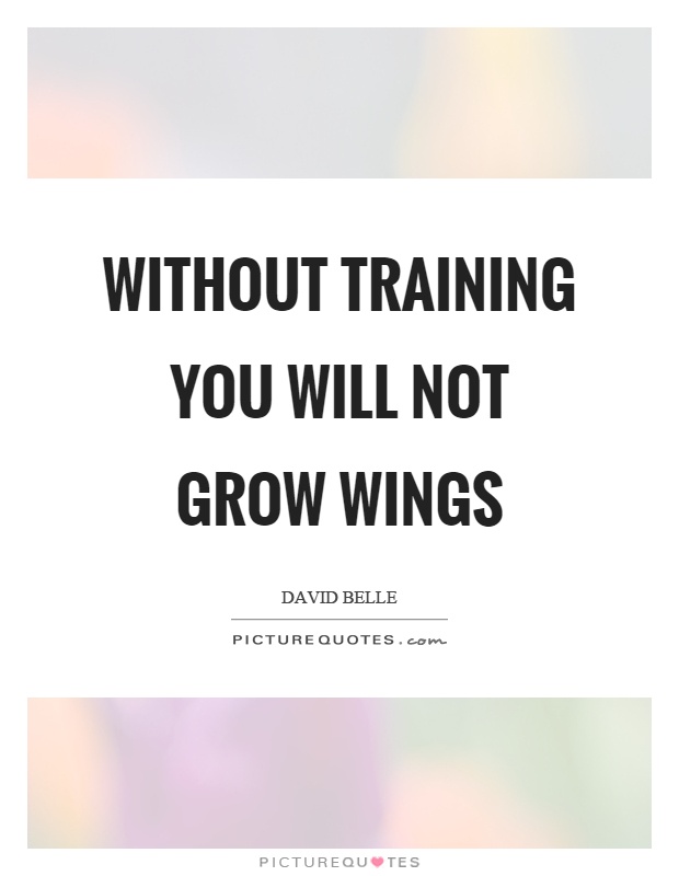 Without training you will not grow wings Picture Quote #1