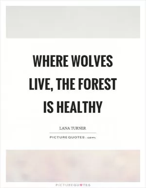 Where wolves live, the forest is healthy Picture Quote #1
