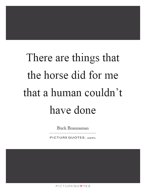 There are things that the horse did for me that a human couldn't have done Picture Quote #1