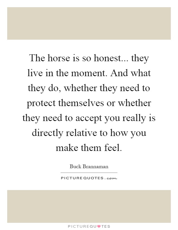 The horse is so honest... they live in the moment. And what they do, whether they need to protect themselves or whether they need to accept you really is directly relative to how you make them feel Picture Quote #1