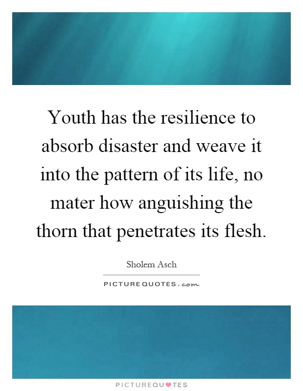 Youth has the resilience to absorb disaster and weave it into the pattern of its life, no mater how anguishing the thorn that penetrates its flesh Picture Quote #1
