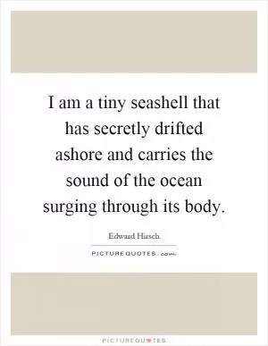 I am a tiny seashell that has secretly drifted ashore and carries the sound of the ocean surging through its body Picture Quote #1