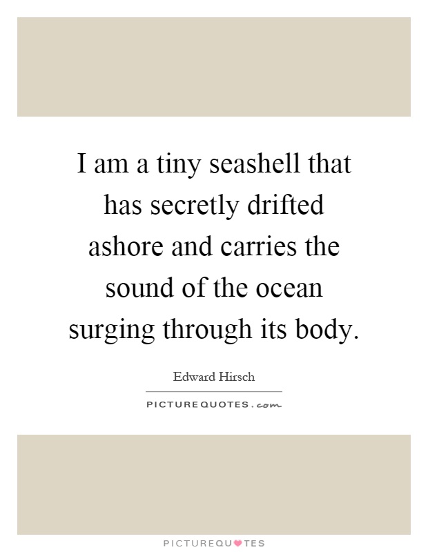 I am a tiny seashell that has secretly drifted ashore and carries the sound of the ocean surging through its body Picture Quote #1