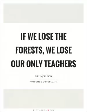 If we lose the forests, we lose our only teachers Picture Quote #1