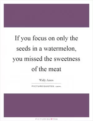 If you focus on only the seeds in a watermelon, you missed the sweetness of the meat Picture Quote #1