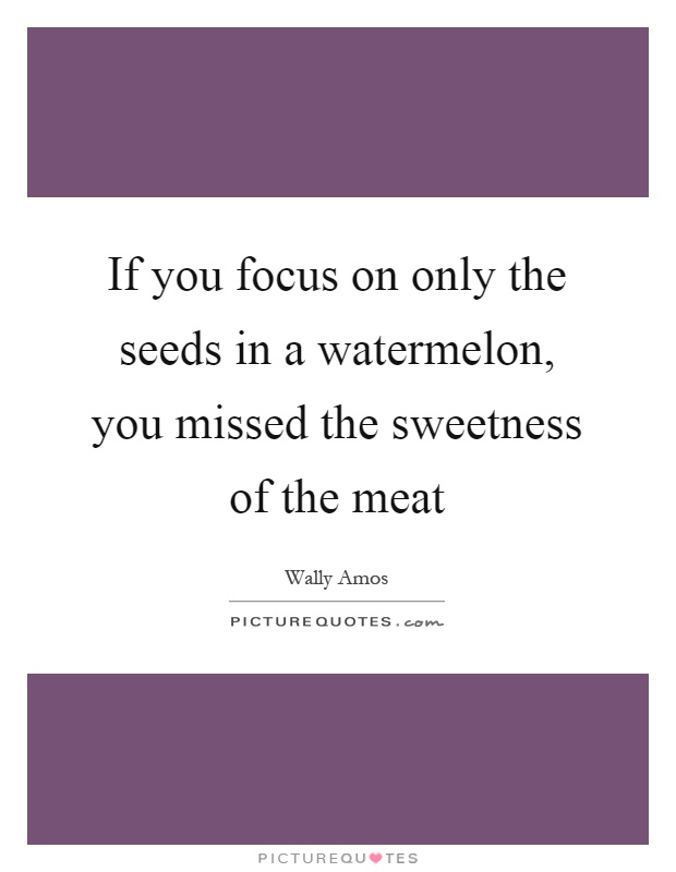 If you focus on only the seeds in a watermelon, you missed the sweetness of the meat Picture Quote #1