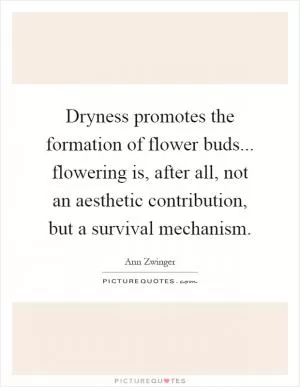 Dryness promotes the formation of flower buds... flowering is, after all, not an aesthetic contribution, but a survival mechanism Picture Quote #1