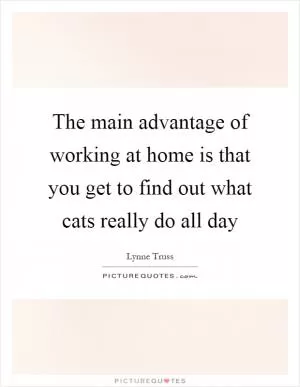 The main advantage of working at home is that you get to find out what cats really do all day Picture Quote #1