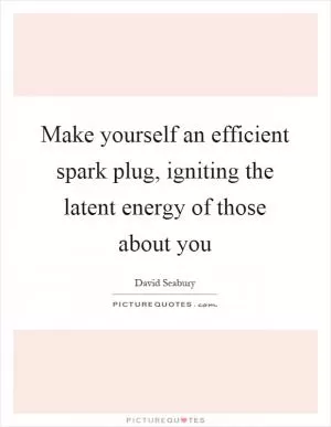 Make yourself an efficient spark plug, igniting the latent energy of those about you Picture Quote #1