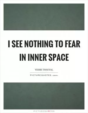 I see nothing to fear in inner space Picture Quote #1