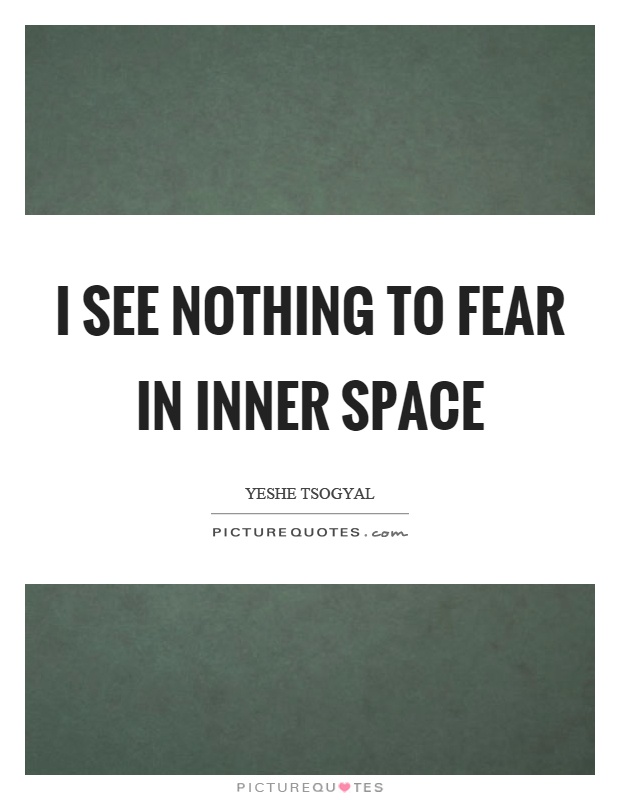 I see nothing to fear in inner space Picture Quote #1