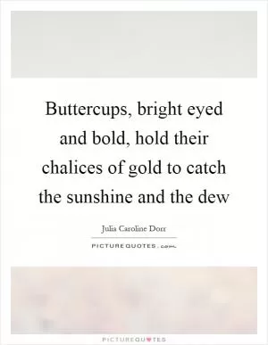 Buttercups, bright eyed and bold, hold their chalices of gold to catch the sunshine and the dew Picture Quote #1