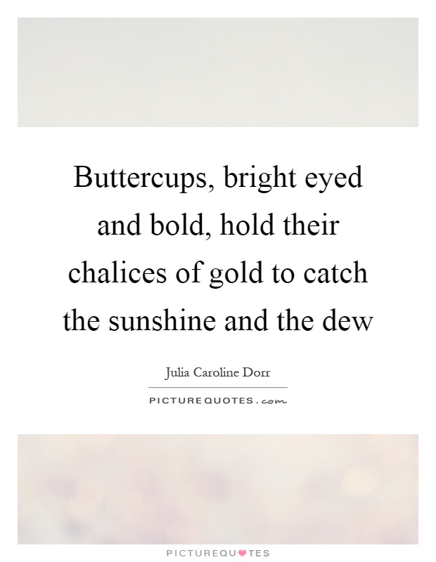 Buttercups, bright eyed and bold, hold their chalices of gold to catch the sunshine and the dew Picture Quote #1