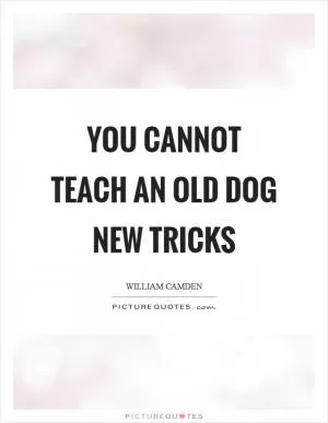 You cannot teach an old dog new tricks Picture Quote #1