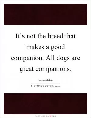 It’s not the breed that makes a good companion. All dogs are great companions Picture Quote #1