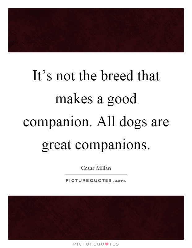 It's not the breed that makes a good companion. All dogs are great companions Picture Quote #1