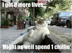 I got 8 more lives, might as well spend 1 chillin’ Picture Quote #1