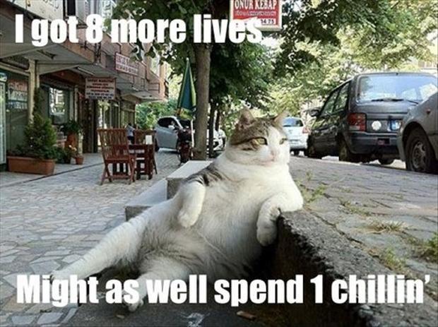 I got 8 more lives, might as well spend 1 chillin' Picture Quote #1