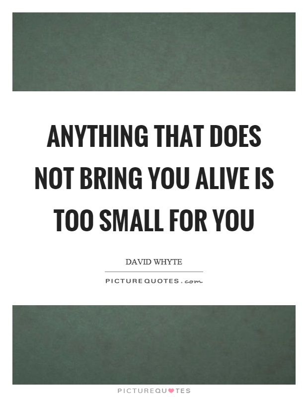 Anything that does not bring you alive is too small for you Picture Quote #1