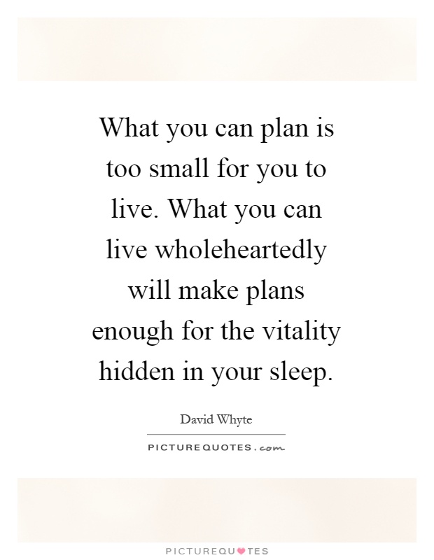 What you can plan is too small for you to live. What you can live wholeheartedly will make plans enough for the vitality hidden in your sleep Picture Quote #1