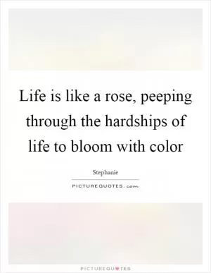 Life is like a rose, peeping through the hardships of life to bloom with color Picture Quote #1
