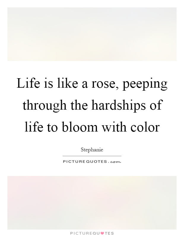 Life is like a rose, peeping through the hardships of life to bloom with color Picture Quote #1