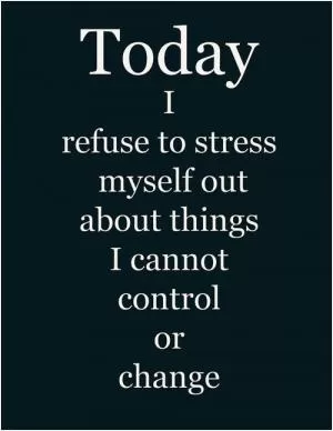 Today I refuse to stress myself out about things I cannot control or change Picture Quote #1