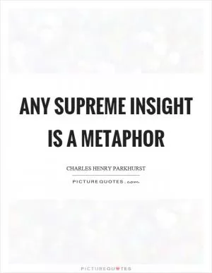 Any supreme insight is a metaphor Picture Quote #1