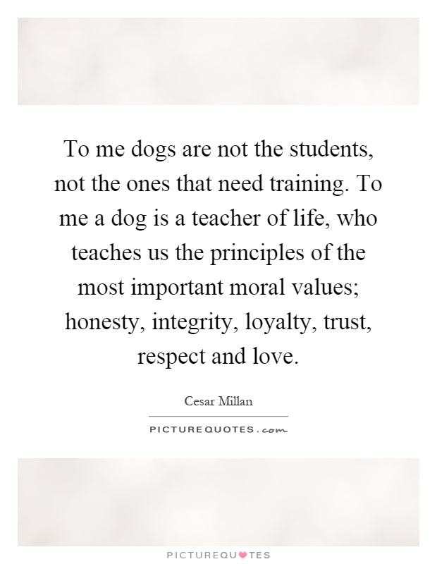 To me dogs are not the students, not the ones that need training. To me a dog is a teacher of life, who teaches us the principles of the most important moral values; honesty, integrity, loyalty, trust, respect and love Picture Quote #1