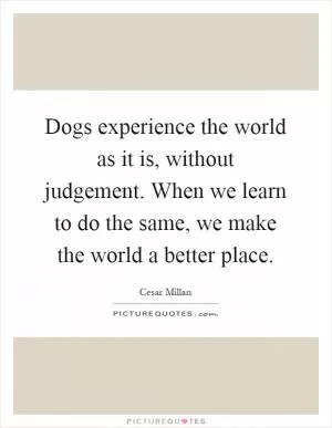 Dogs experience the world as it is, without judgement. When we learn to do the same, we make the world a better place Picture Quote #1
