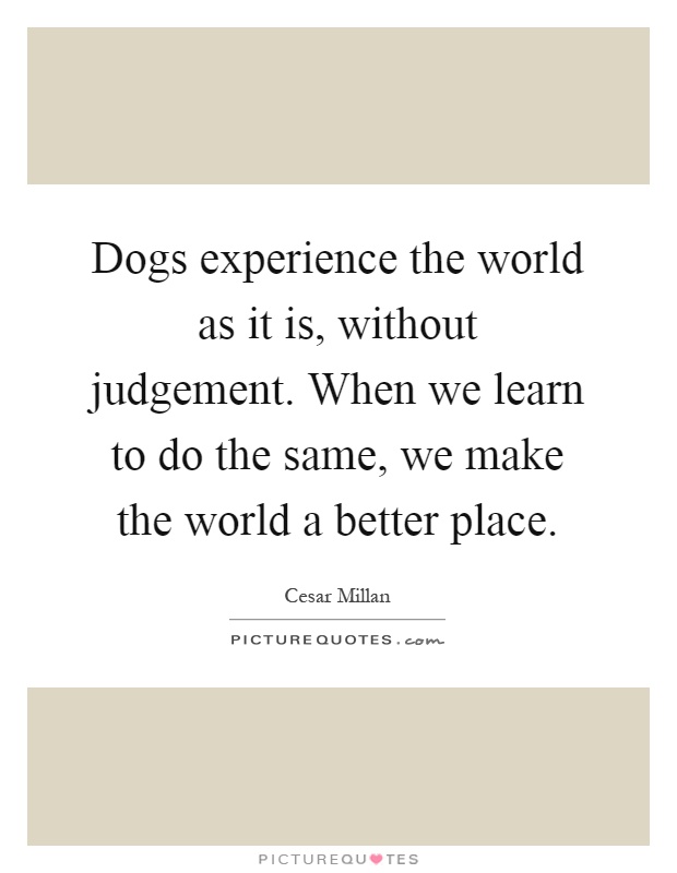 Dogs experience the world as it is, without judgement. When we learn to do the same, we make the world a better place Picture Quote #1