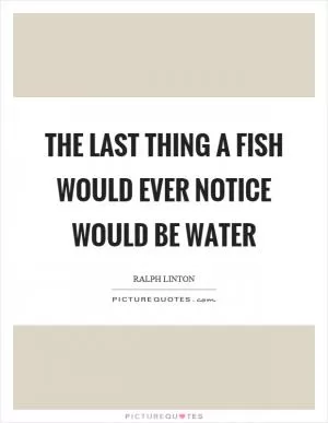 The last thing a fish would ever notice would be water Picture Quote #1