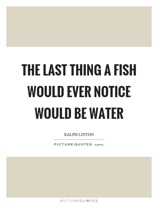 The last thing a fish would ever notice would be water Picture Quote #1