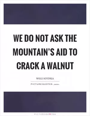 We do not ask the mountain’s aid to crack a walnut Picture Quote #1